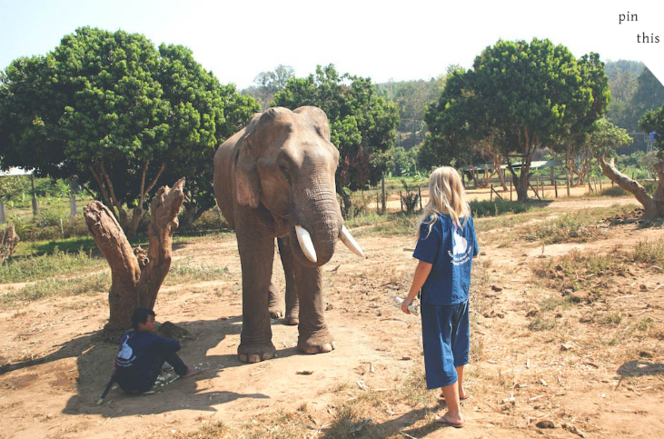 Baan Chang Elephant Park